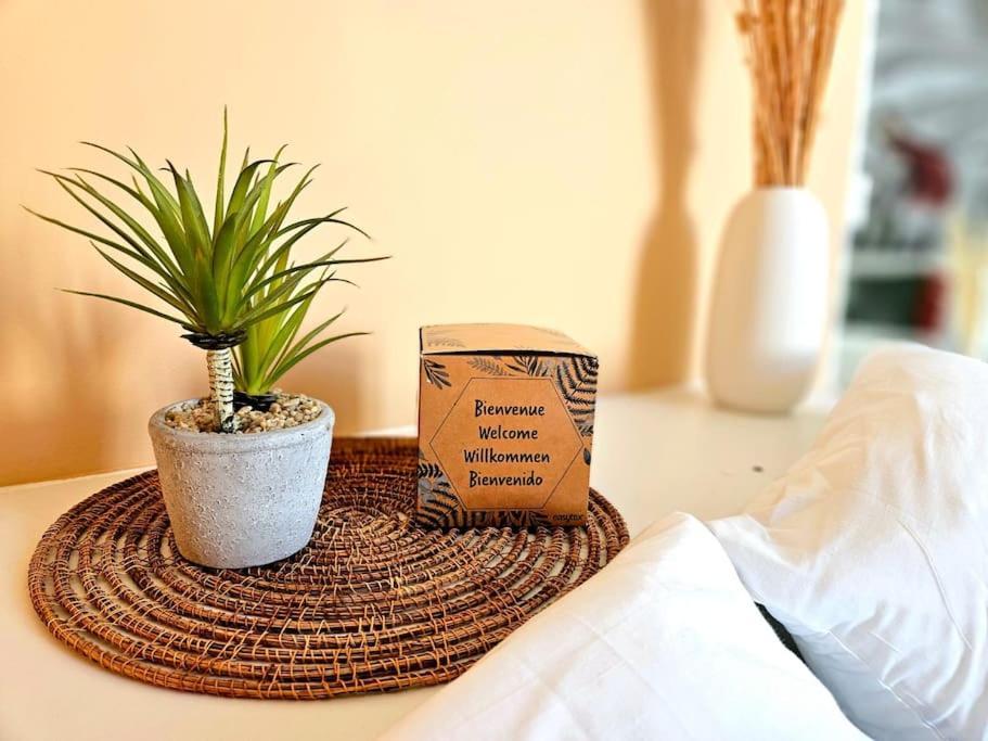L'ecrin Nimois - Clim - Centre Appartement Nîmes